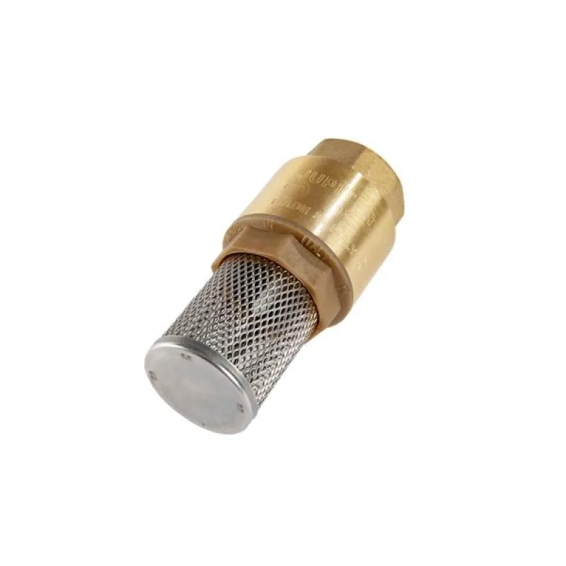 Foot Valve Brass 2 inch