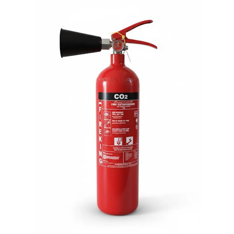 4kg DCP Fire Extinguisher