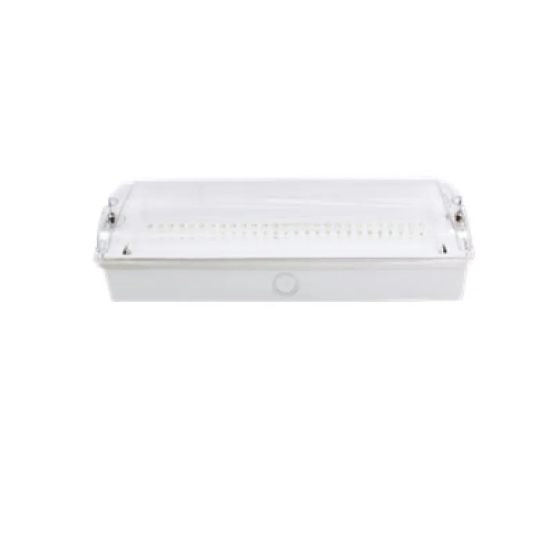 Emergency Light-Self Contained,Surface Mounted