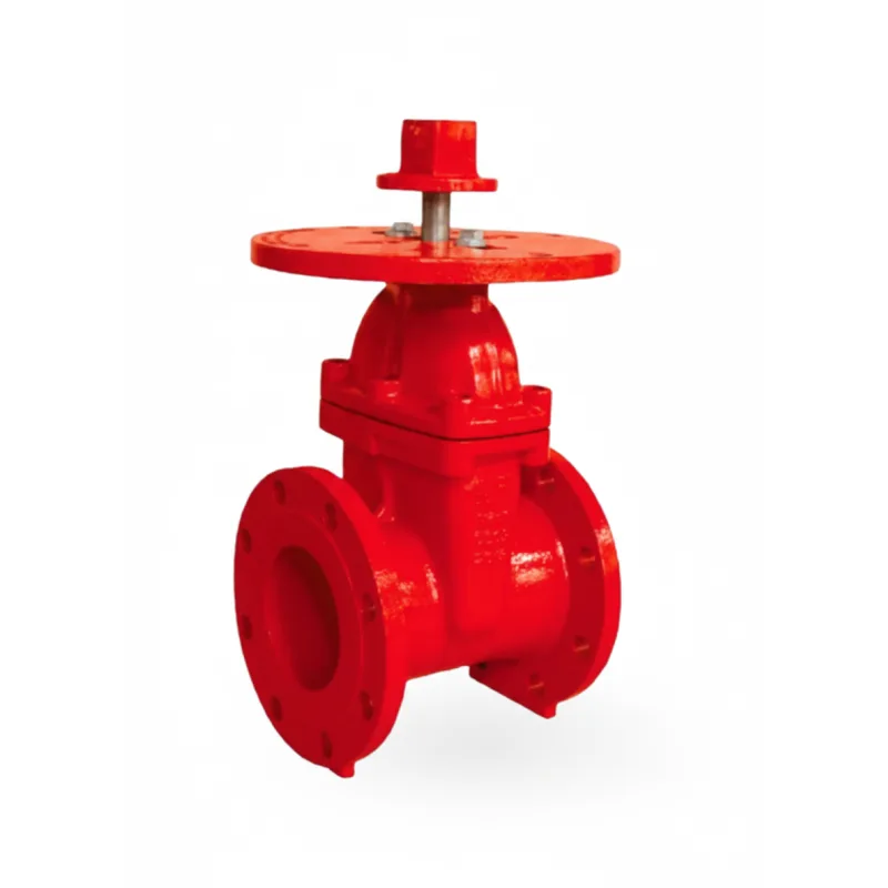 NRS Gate Valve Flanged End Type-6