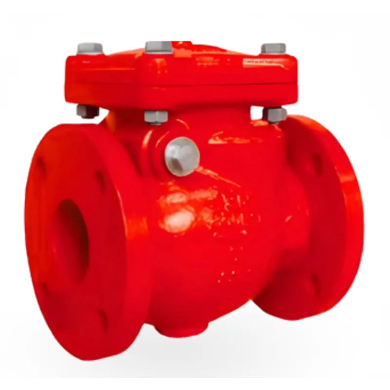 Swing Check Valve (NRV)-Flanged Type-6